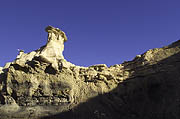 Bisti Badlands New Mexico